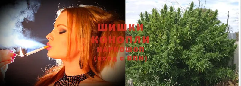 Шишки марихуана SATIVA & INDICA  Оса 